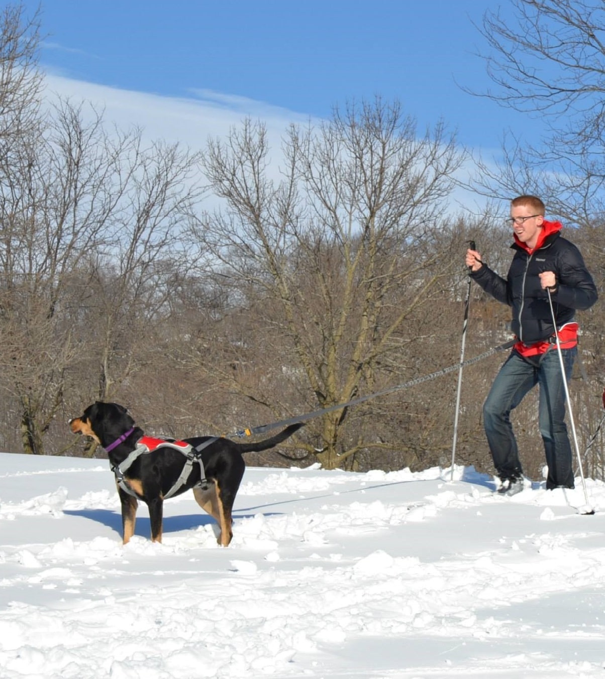 Zachery Gries and dog ski-joring